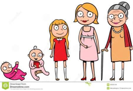 woman-life-stages-development-cartoon-illustration-different-cycle-growth-33550149